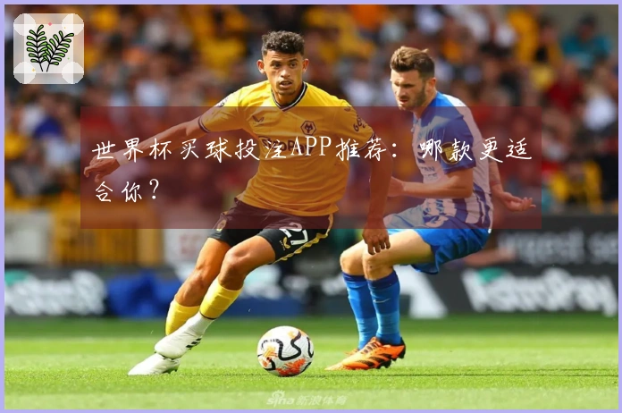 世界杯买球投注APP推荐：哪款更适合你？