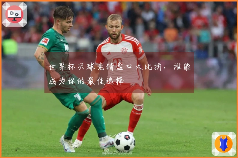 世界杯买球竞猜盘口大比拼，谁能成为你的最佳选择